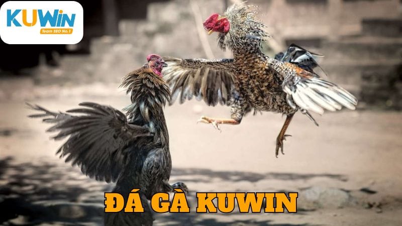 da-ga-kuwin-anh-dai-dien